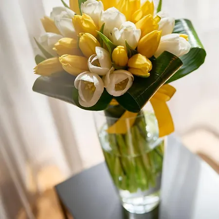 Urbanauts Beletages Sonata * Triëst